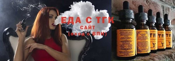 гашик Алексин