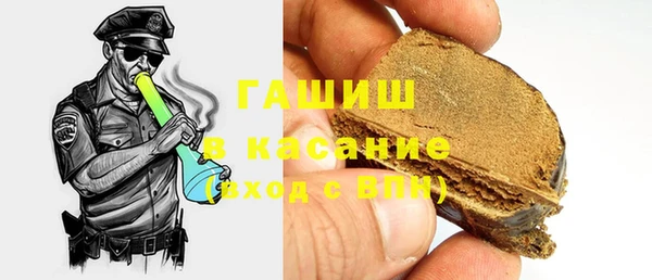 гашик Алексин