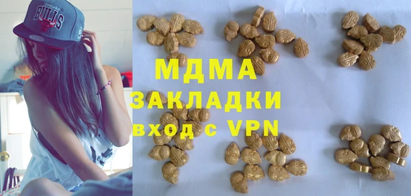 гашик Алексин