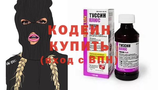 гашик Алексин