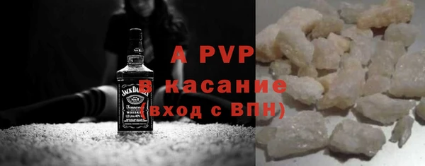 гашик Алексин
