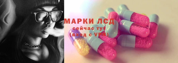 гашик Алексин