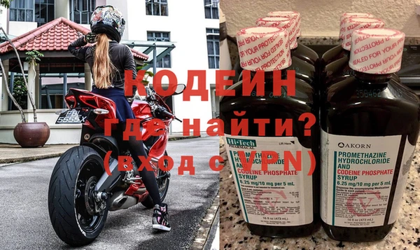 гашик Алексин
