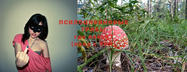 амф Алексеевка