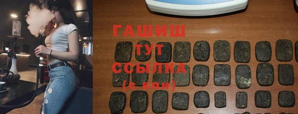 гашик Алексин