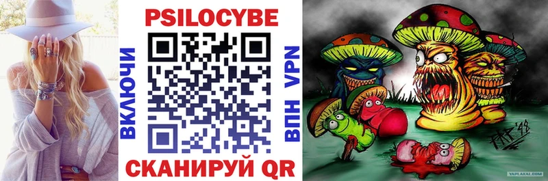 купить   Павловский Посад  Псилоцибиновые грибы MAGIC MUSHROOMS 