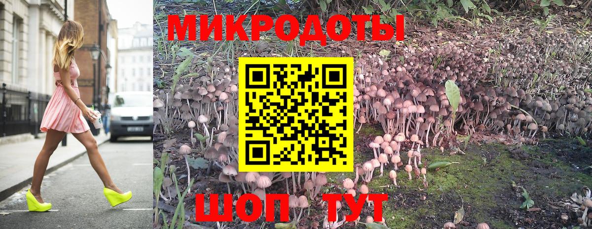 Галлюциногенные грибы мухоморы Павловский Посад