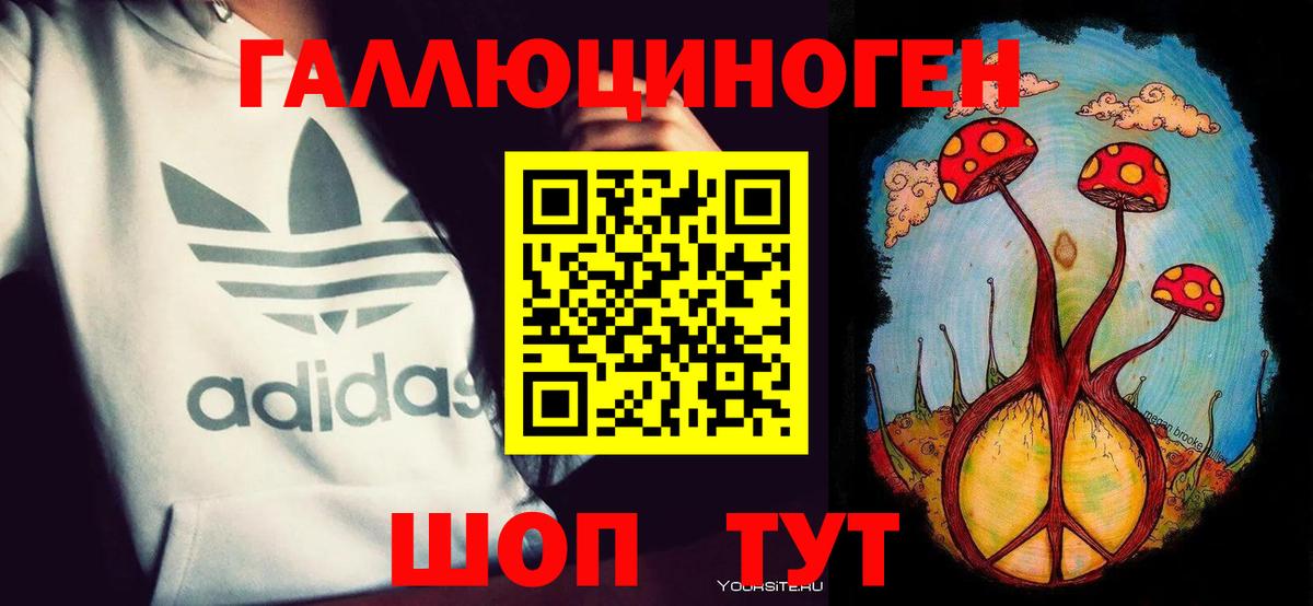 Павловский Посад  Псилоцибиновые грибы Cubensis  сколько стоит  Вход с VPN 